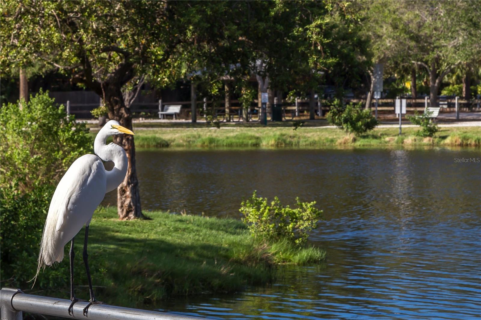 TOWN SHORES OF GULFPORT - Residential