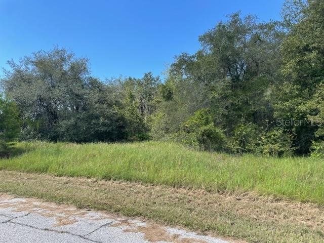 POINCIANA NBRHD 02 WEST VILLAGE 07 - Land