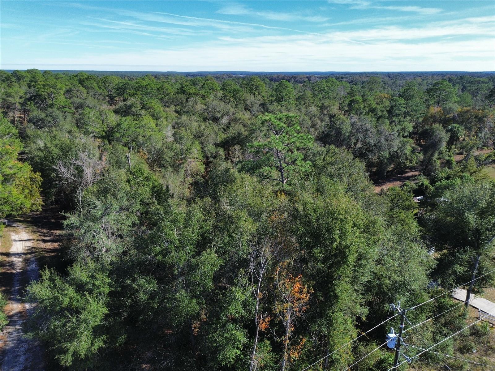 SILVER SPGS WOODS - Land