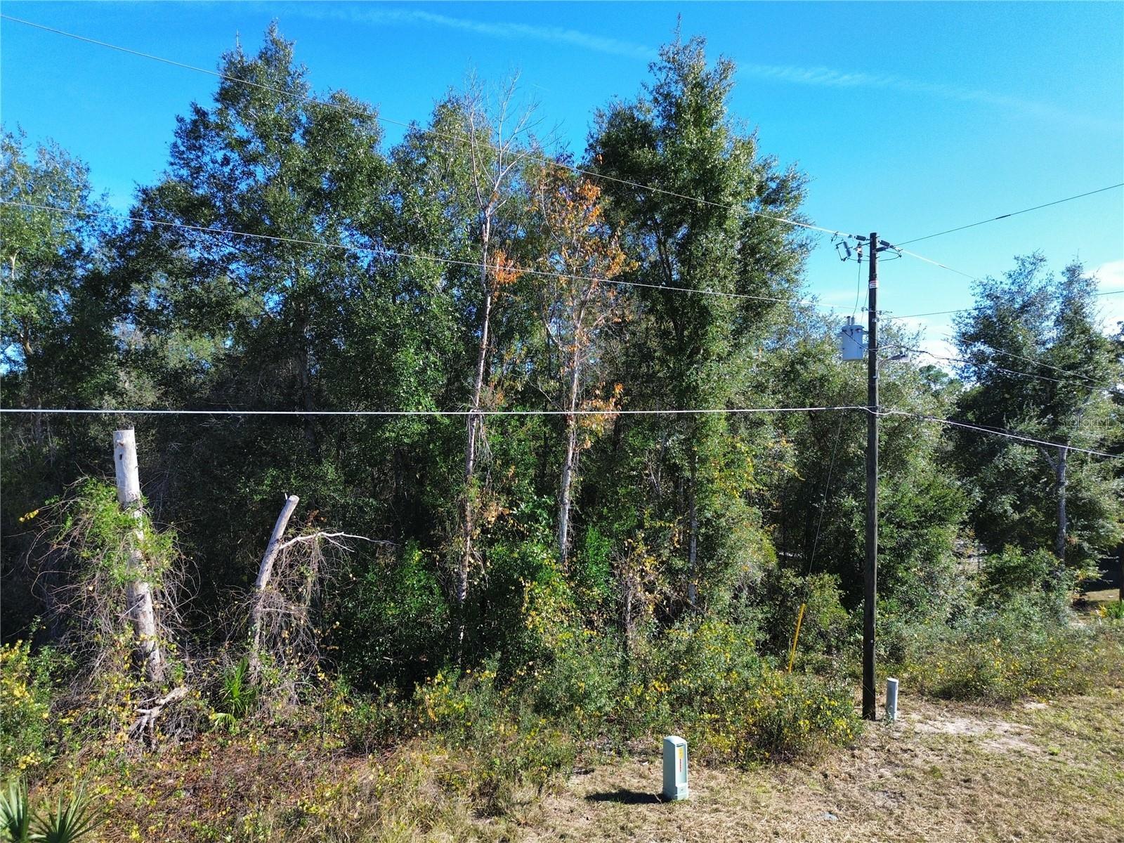 .31 acre wooded corner lot located in Silver Springs Woods subdivision.  Lots of lakes like Lake Bryant, Half Moon and Mill Dam Lake nearby.