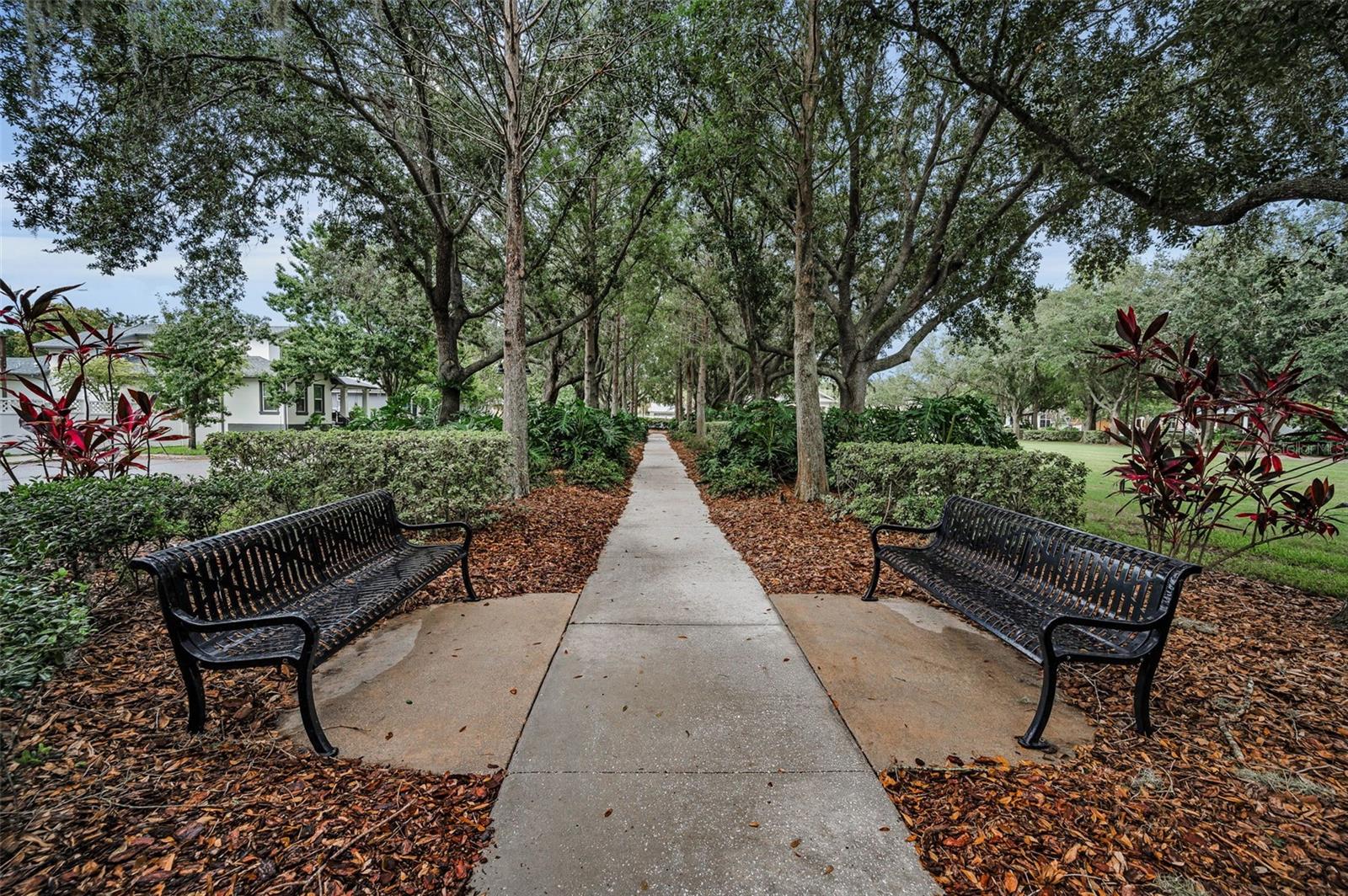 LONGLEAF PH 01 - Residential