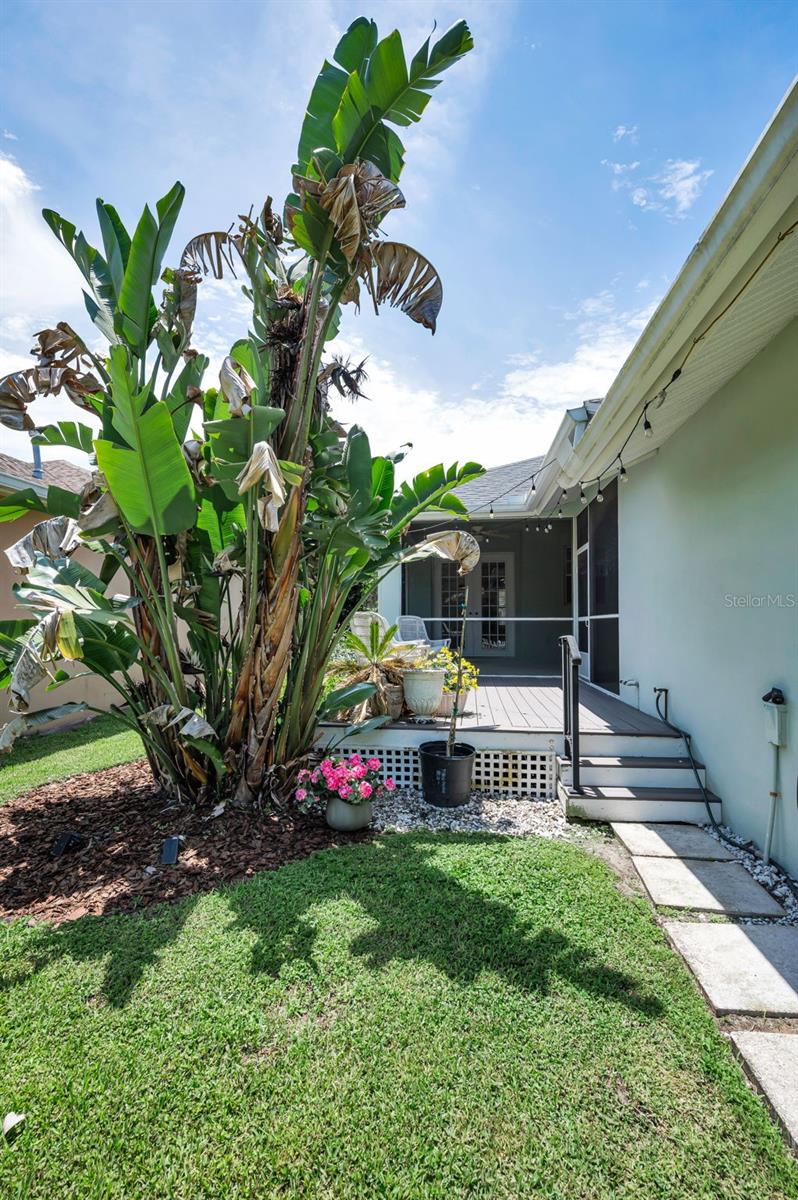 LONGLEAF PH 01 - Residential
