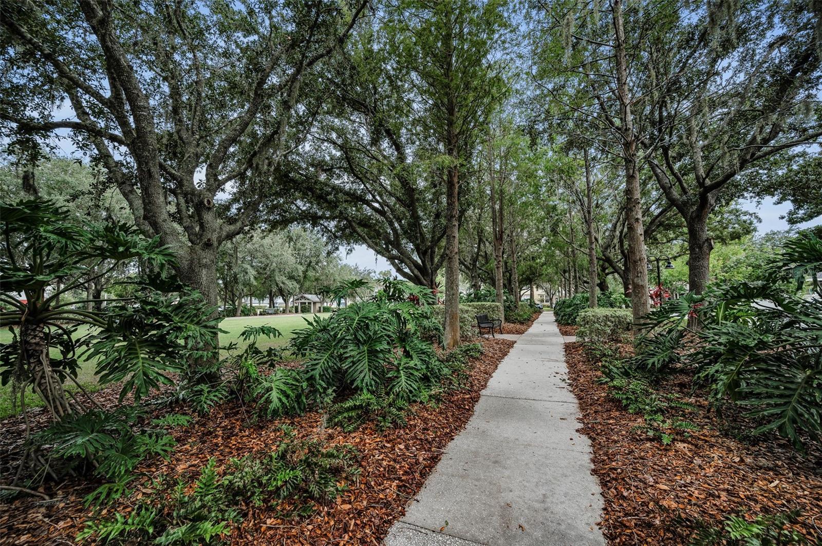 LONGLEAF PH 01 - Residential