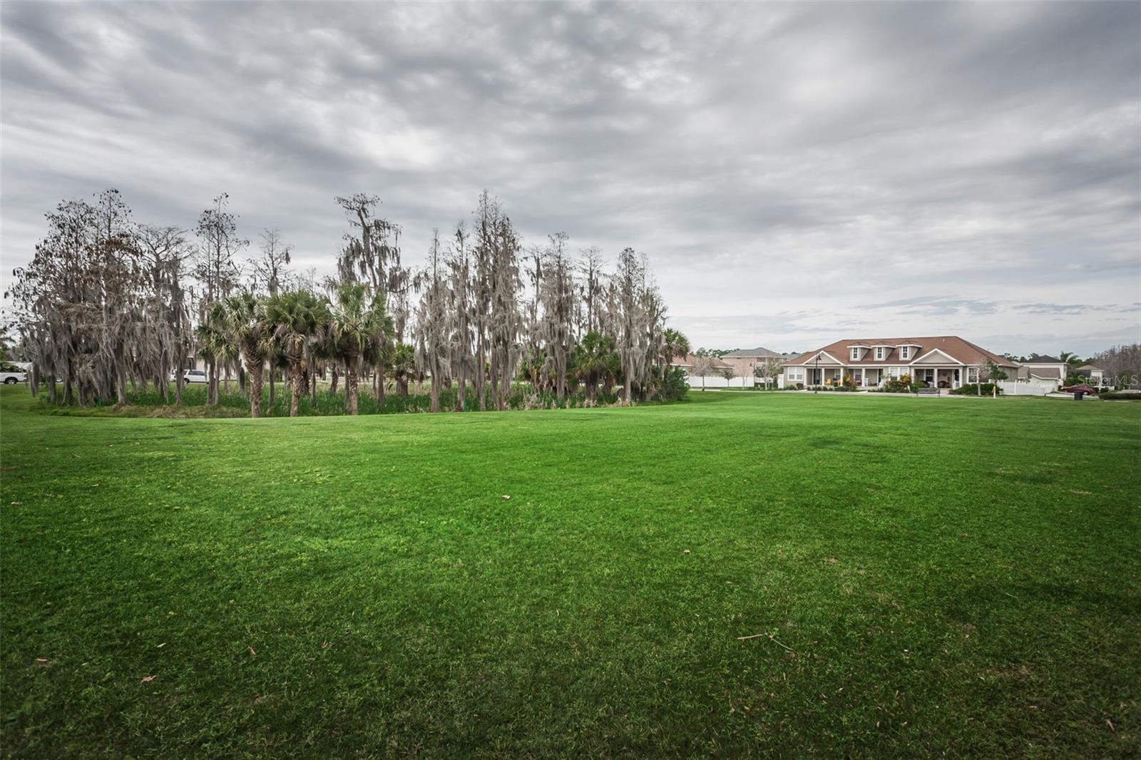 LONGLEAF PH 01 - Residential