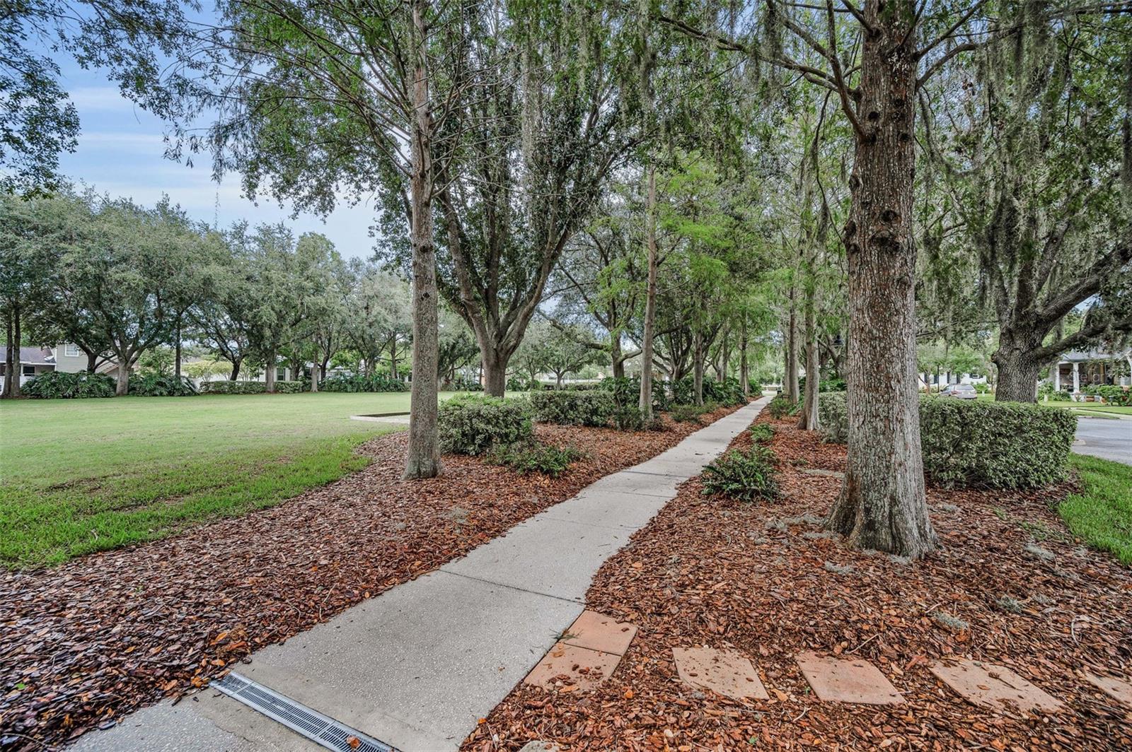 LONGLEAF PH 01 - Residential