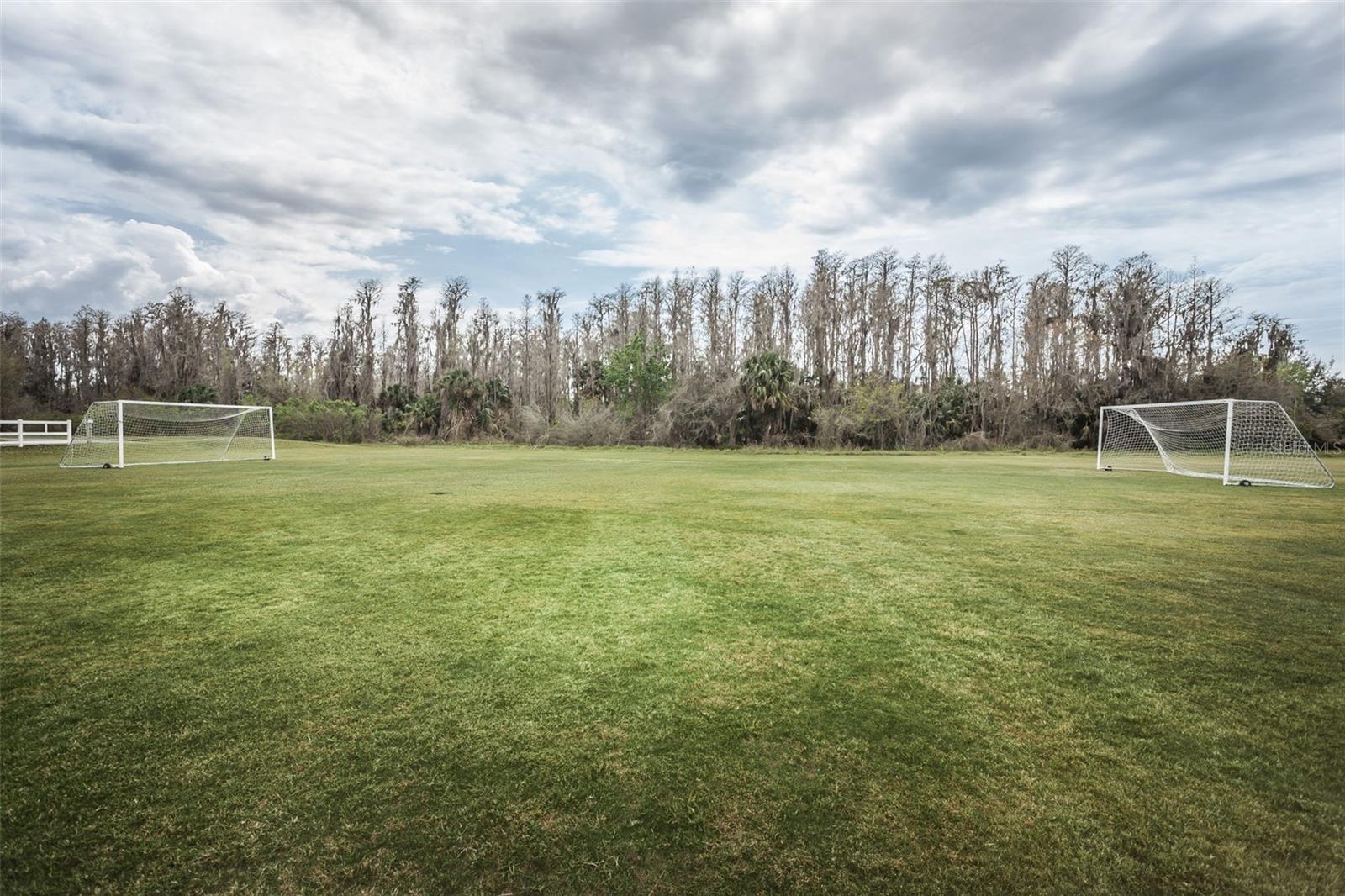 LONGLEAF PH 01 - Residential