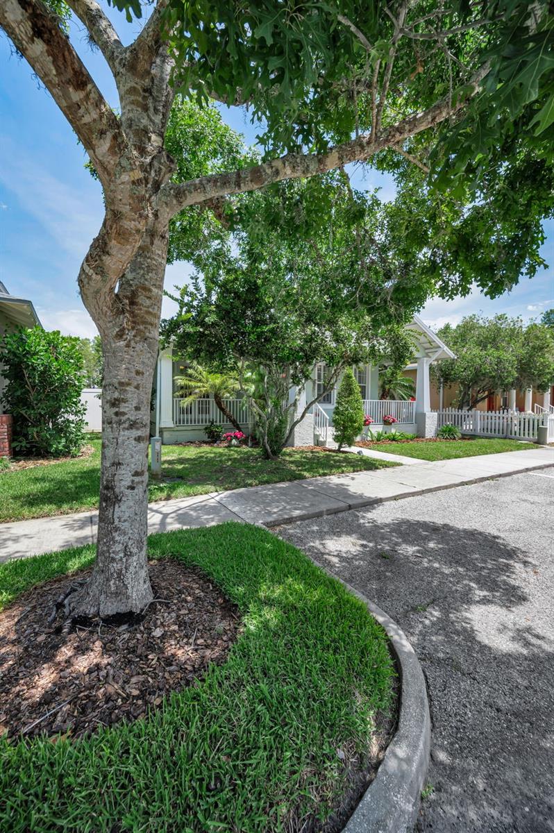 LONGLEAF PH 01 - Residential