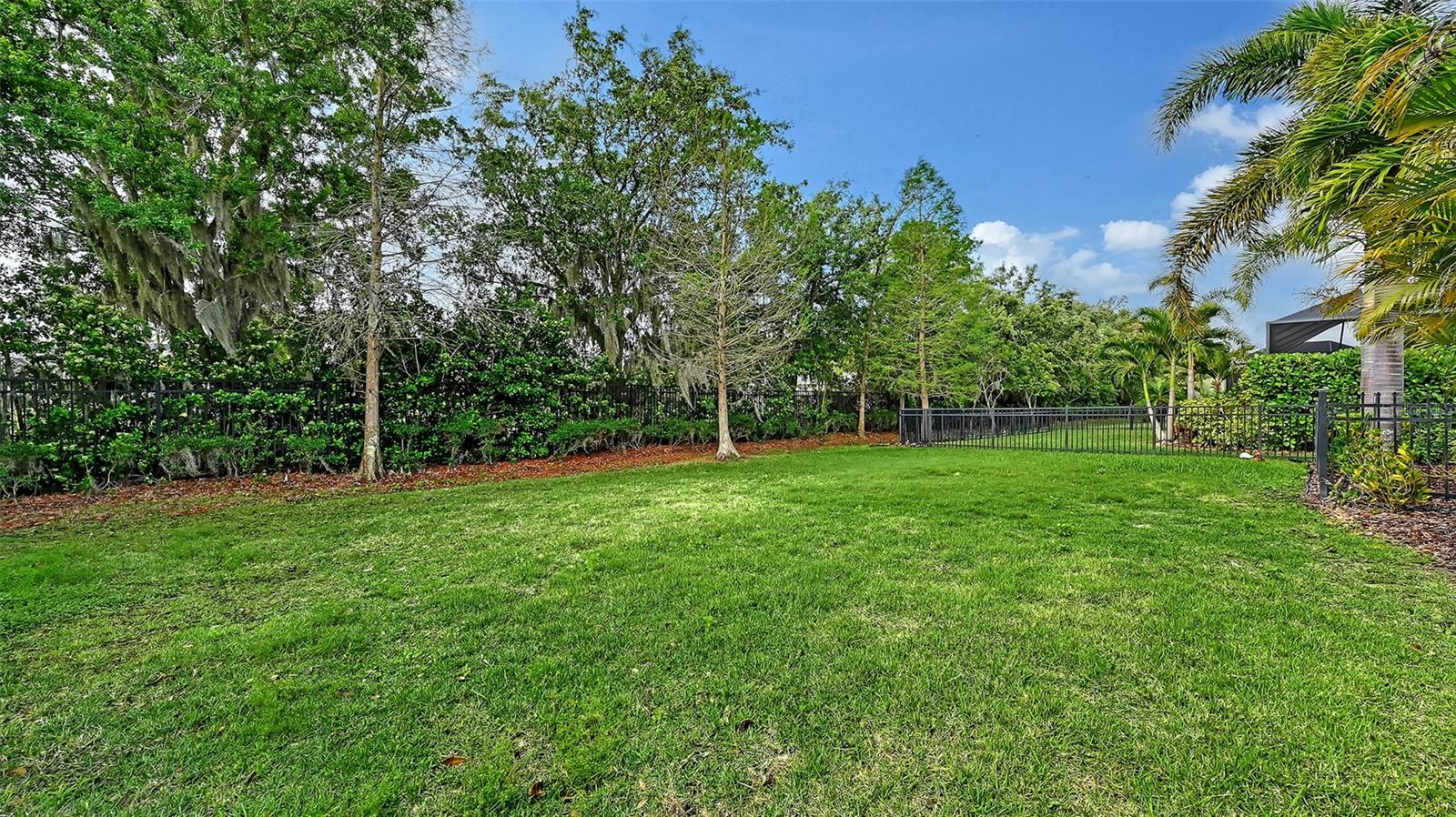 RIVA TRACE - Residential