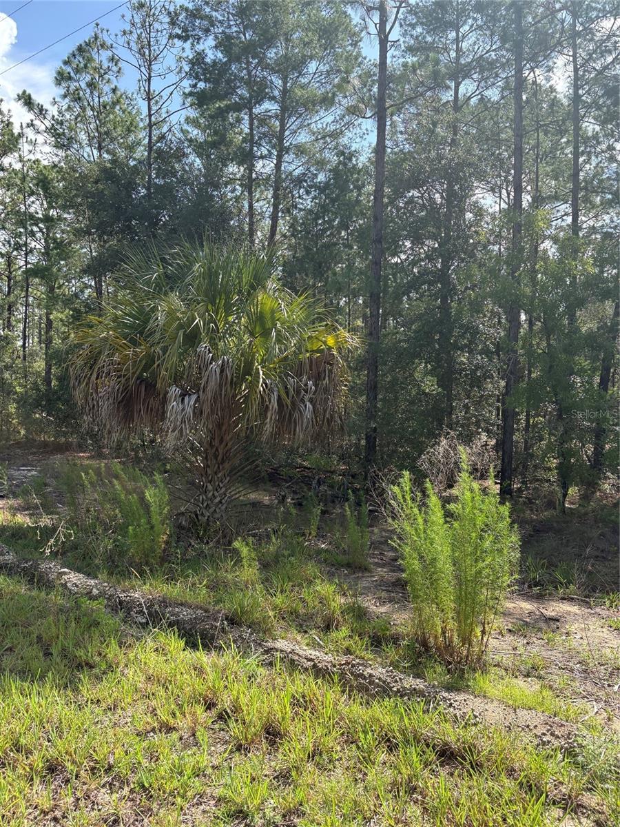 RAINBOW LAKES ESTATE - Land