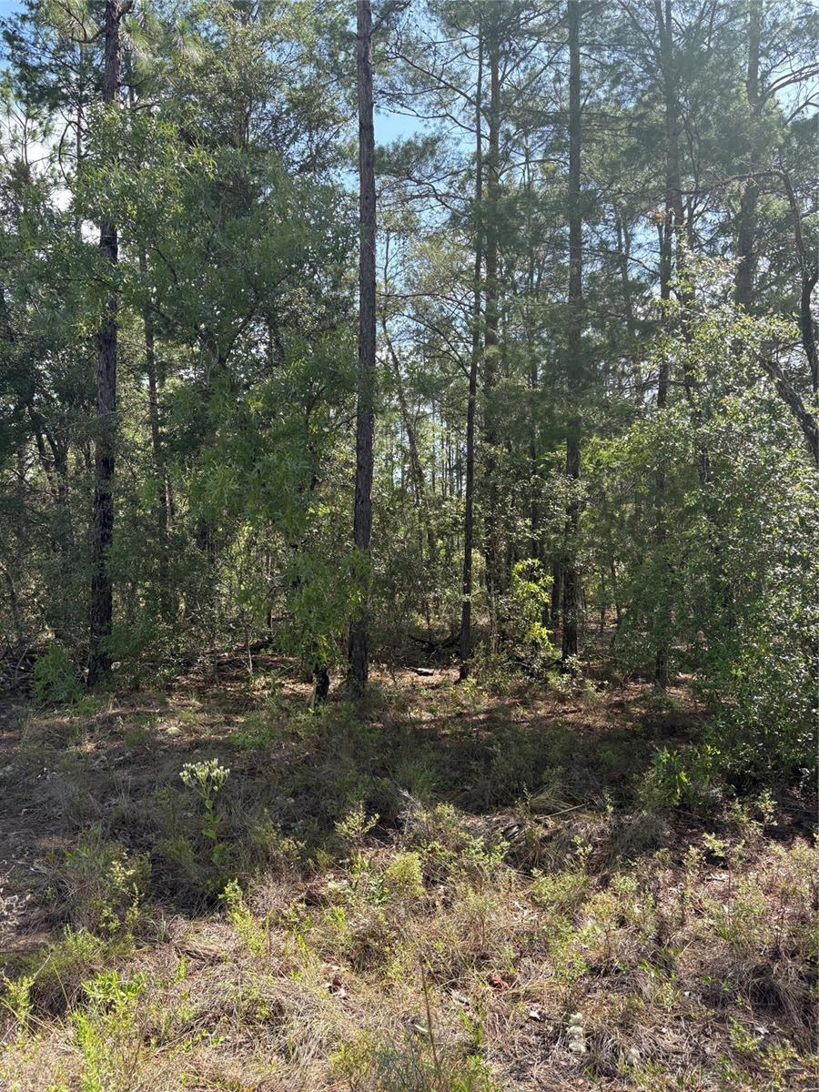 RAINBOW LAKES ESTATE - Land