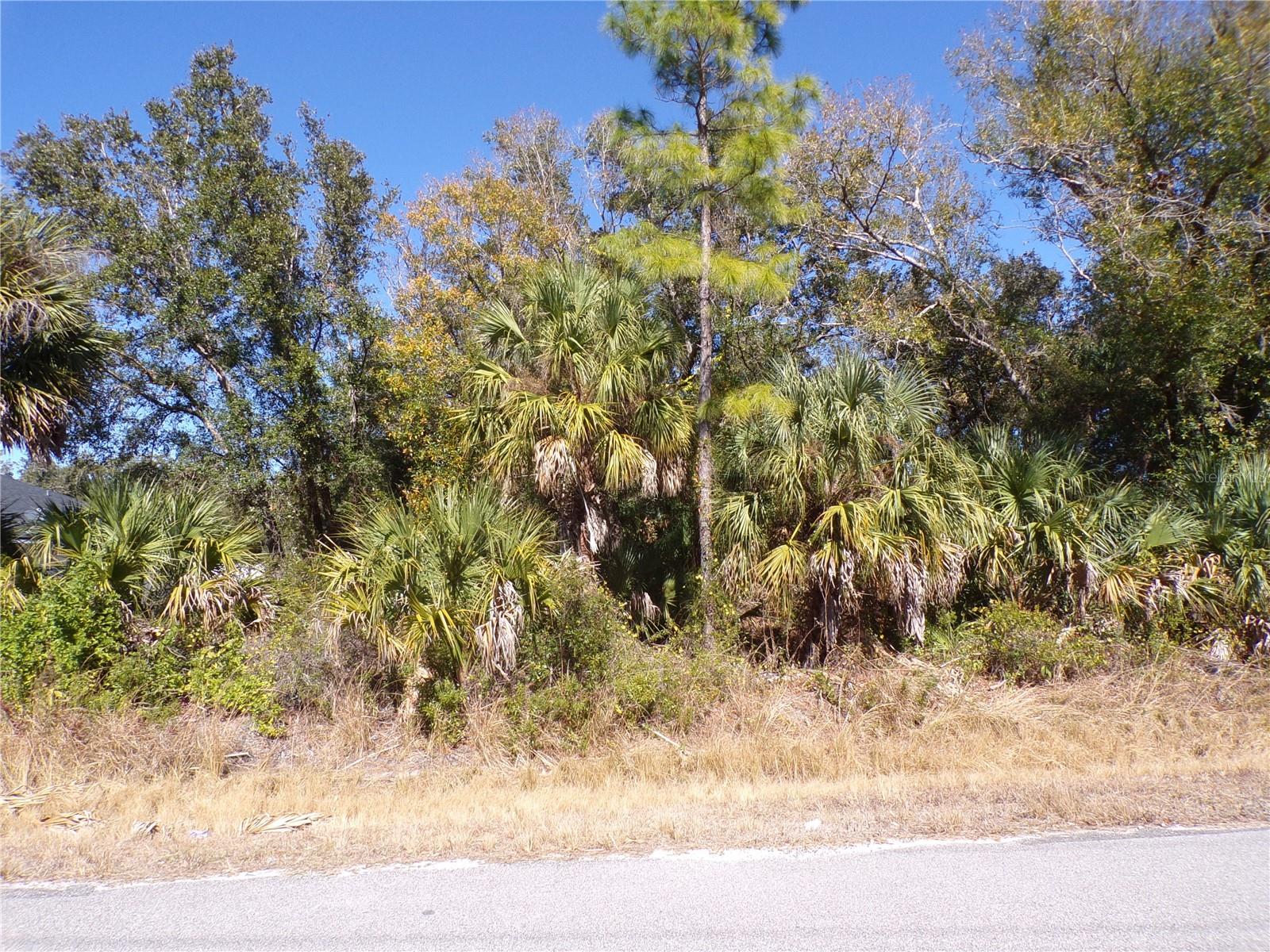 This lot is on a quiet street, and is the highly desired Flood Zone X, this means no flood insurance required. This lot would be a great place to build your dream home and retire or raise your family. Less than 6 miles to I75 makes this location an easy commute to almost anywhere, and only 22 miles to Chadwick Park Englewood Beach with amazing sunsets, 10 miles to Port Charlotte Town Center and only 13 miles Punta Gorda Historic district and waterfront park with lots of shopping and dining options. Tampa Bay Rays spring training and the fairgrounds are just minutes away, also multiple golf courses and some of the best boating and fishing in all of Florida. Red Soxs, Orioles, Twins and Braves spring training all within an hour’s drive. Buyer and buyers’ reps are responsible for determining environmental conditions and endangered species restrictions. This lot is priced to sell so please call for availability! This lot is at a great price point for the investor call today.