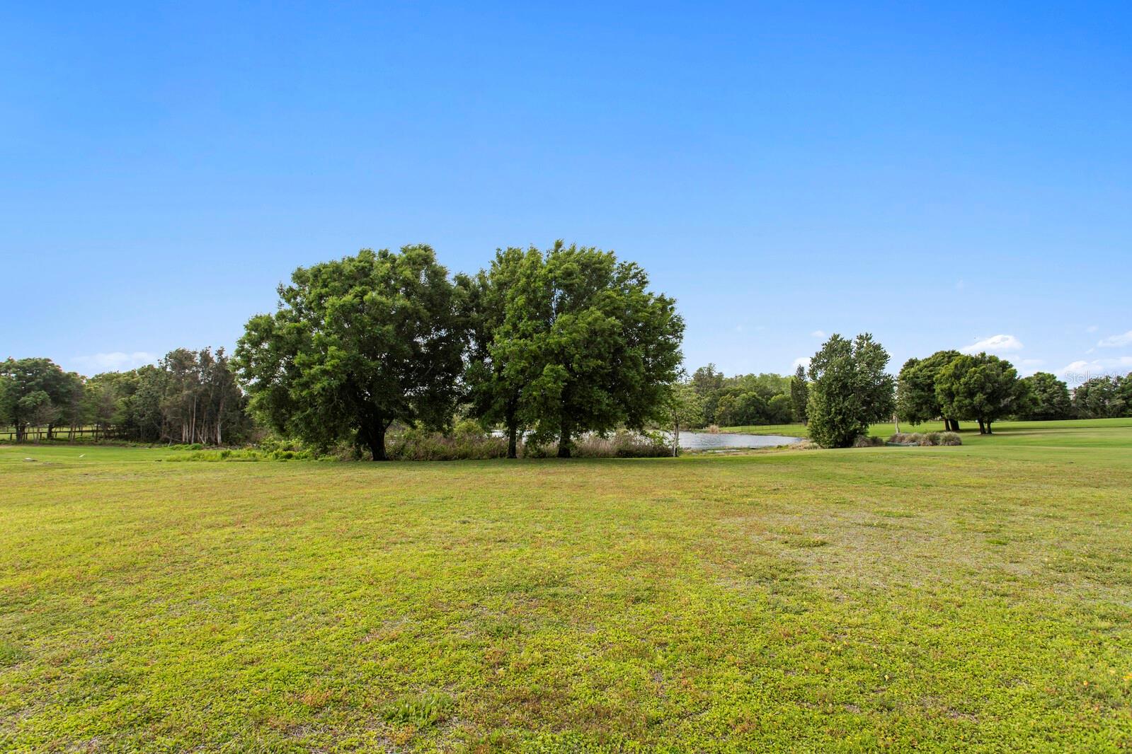 STEEPLECHASE - Residential