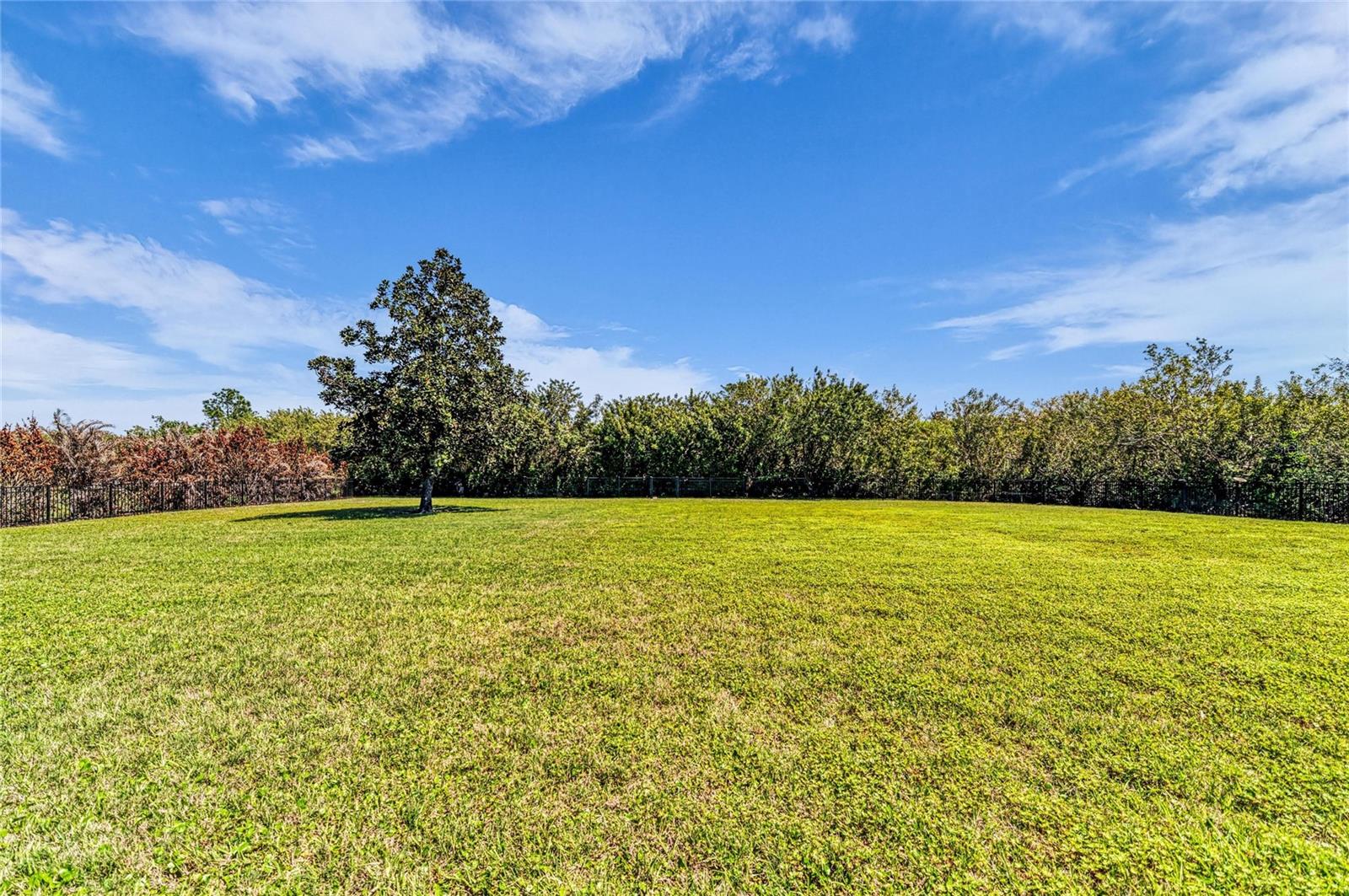 PRESERVE AT PANTHER RIDGE PH III - Residential