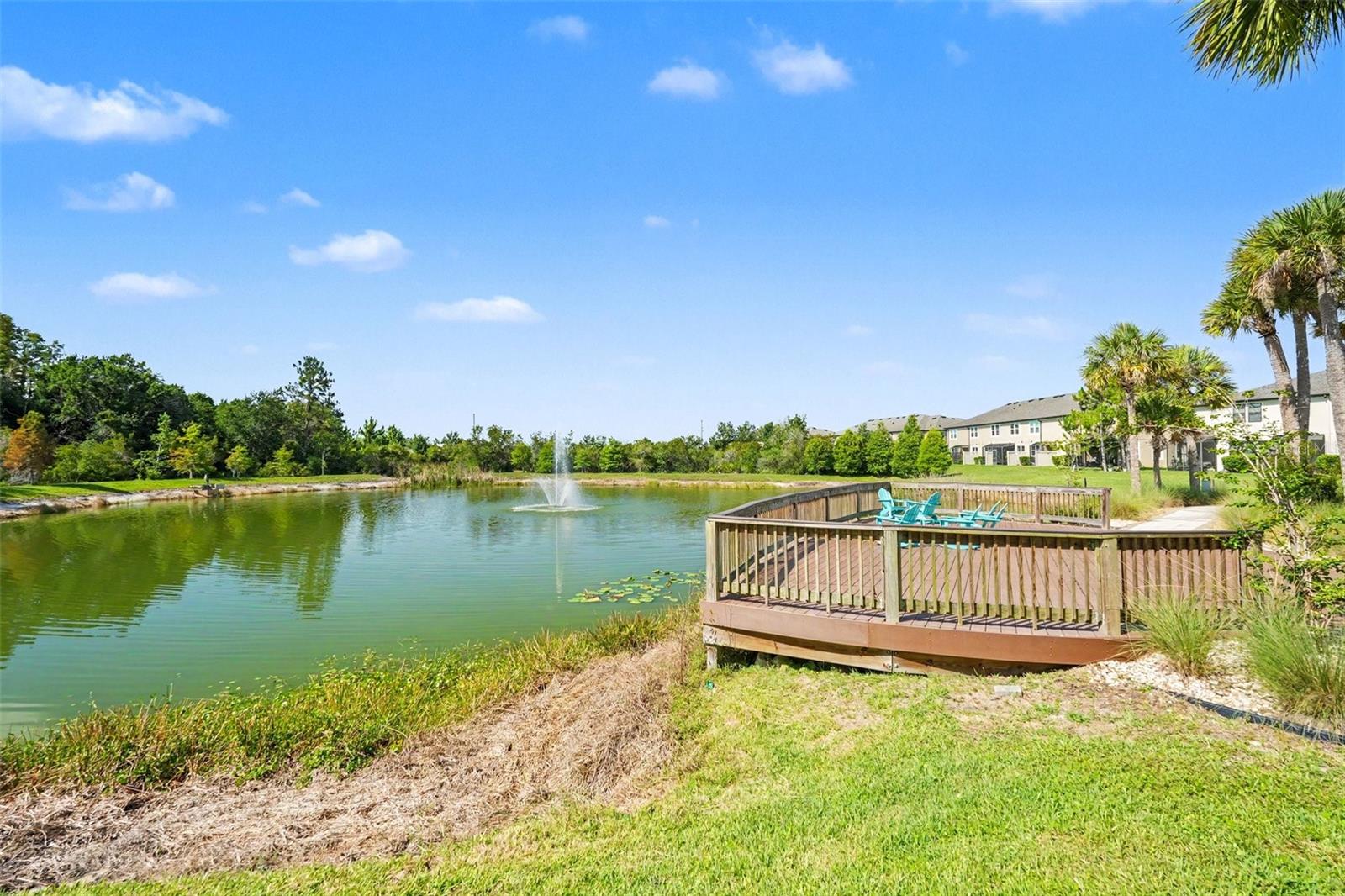 WINDERMERE ESTATES AT WIREGRASS RANCH PH - Residential