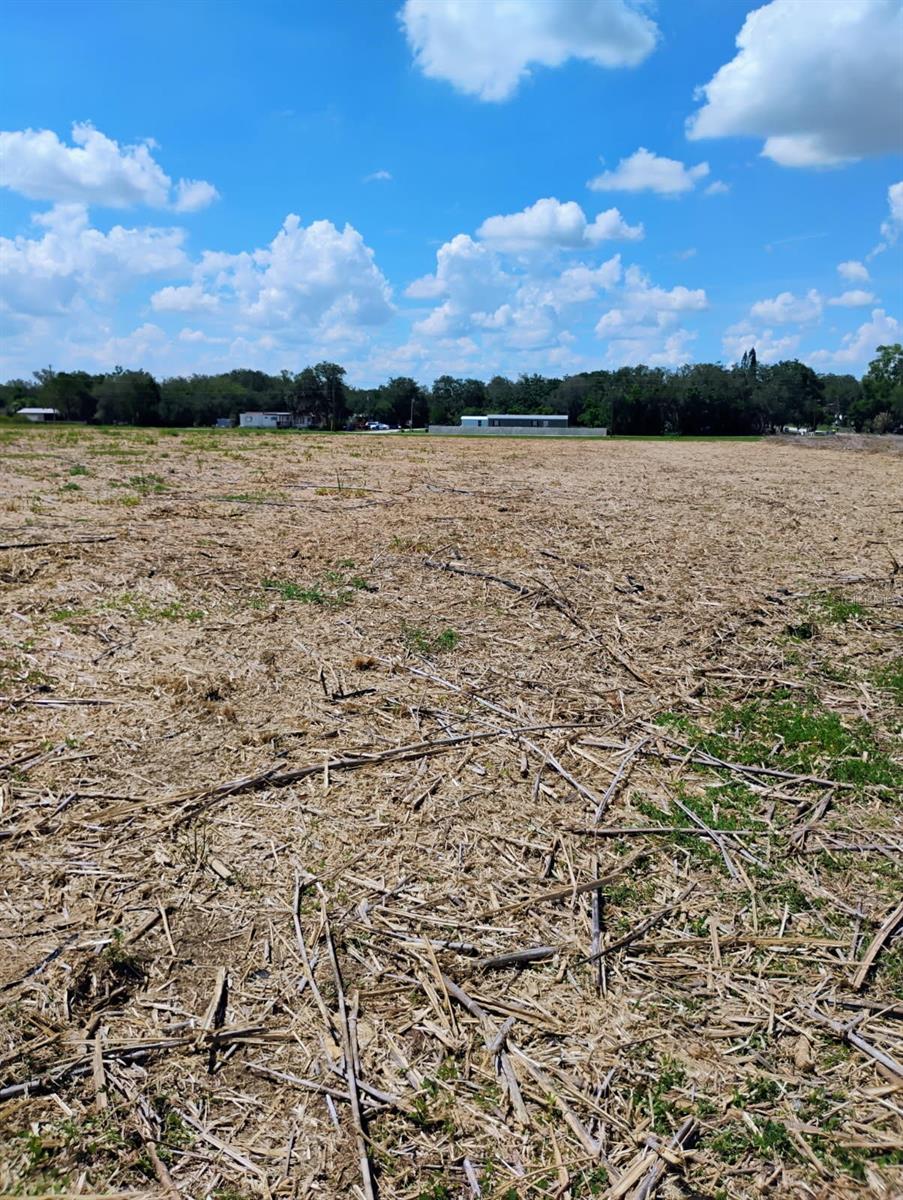 UNPLATTED - Land
