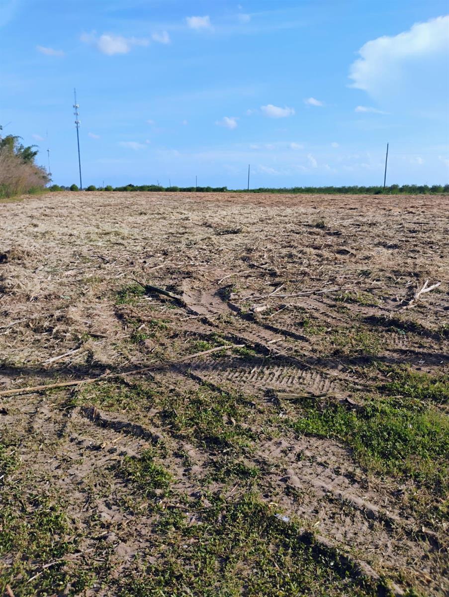 UNPLATTED - Land