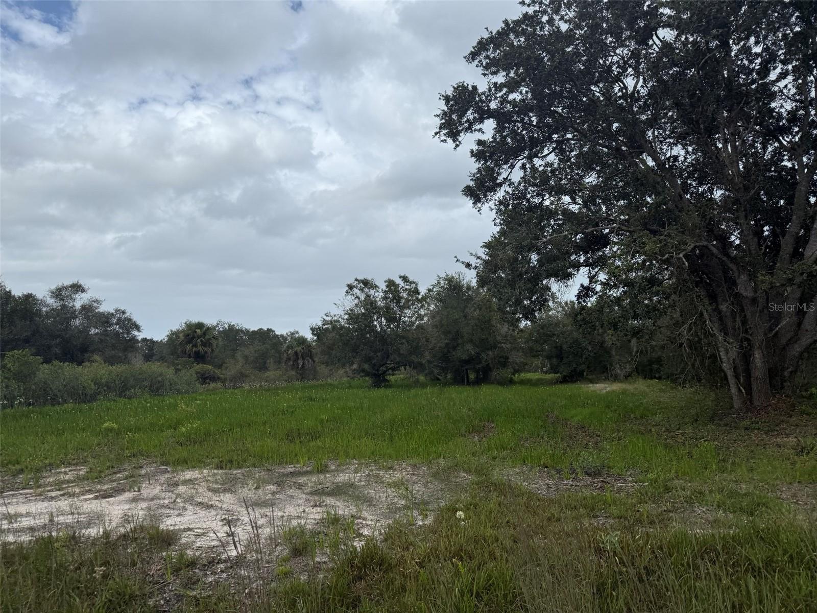 Owner Financing Available! Build or bring your dream home and barn on this beautiful private high and dry 1.25 acre. This lot has already been cleared with power poles on the road making access to power a breeze. There is so much to enjoy in Okeechobee County. The Kissimmee River Preserve State Park West of this area as well is the Kissimmee River. The Kissimmee River flows into Lake Okeechobee and is well known for some of the best fishing. whether you like Fishing, hunting, mudding agriculture or just privacy here you have it all. Buyer to verify all property details including zoning, utilities, land use, and building requirements. All information deemed reliable but not guaranteed.