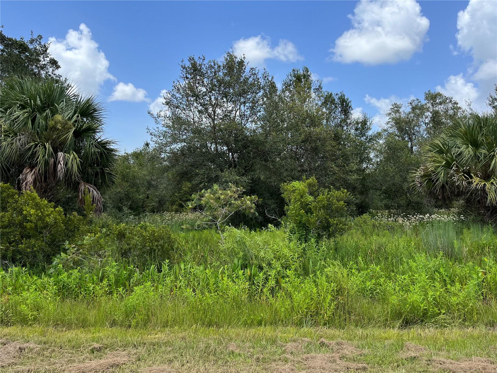 SOUTHERN COLONIZATION CO - Land