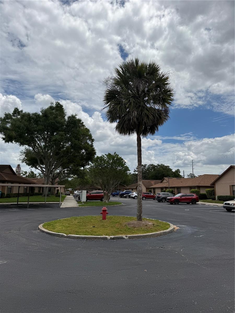 TOWNHOMES WINTER GARDEN - Residential