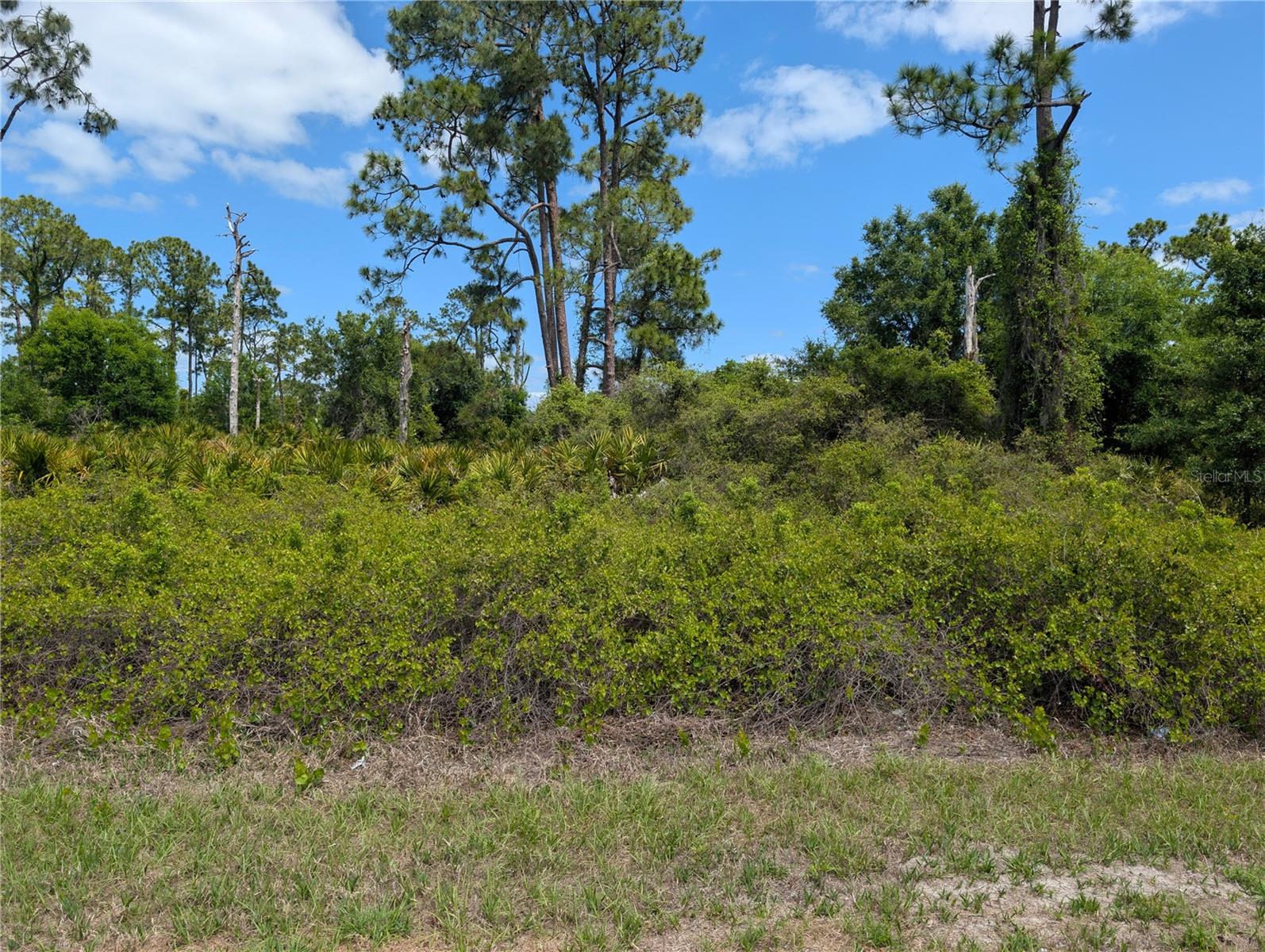 PLACID LAKES SEC 10 - Land