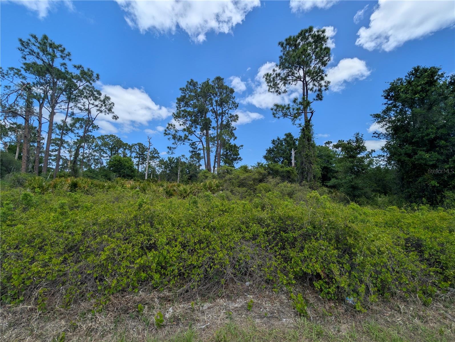 PLACID LAKES SEC 10 - Land