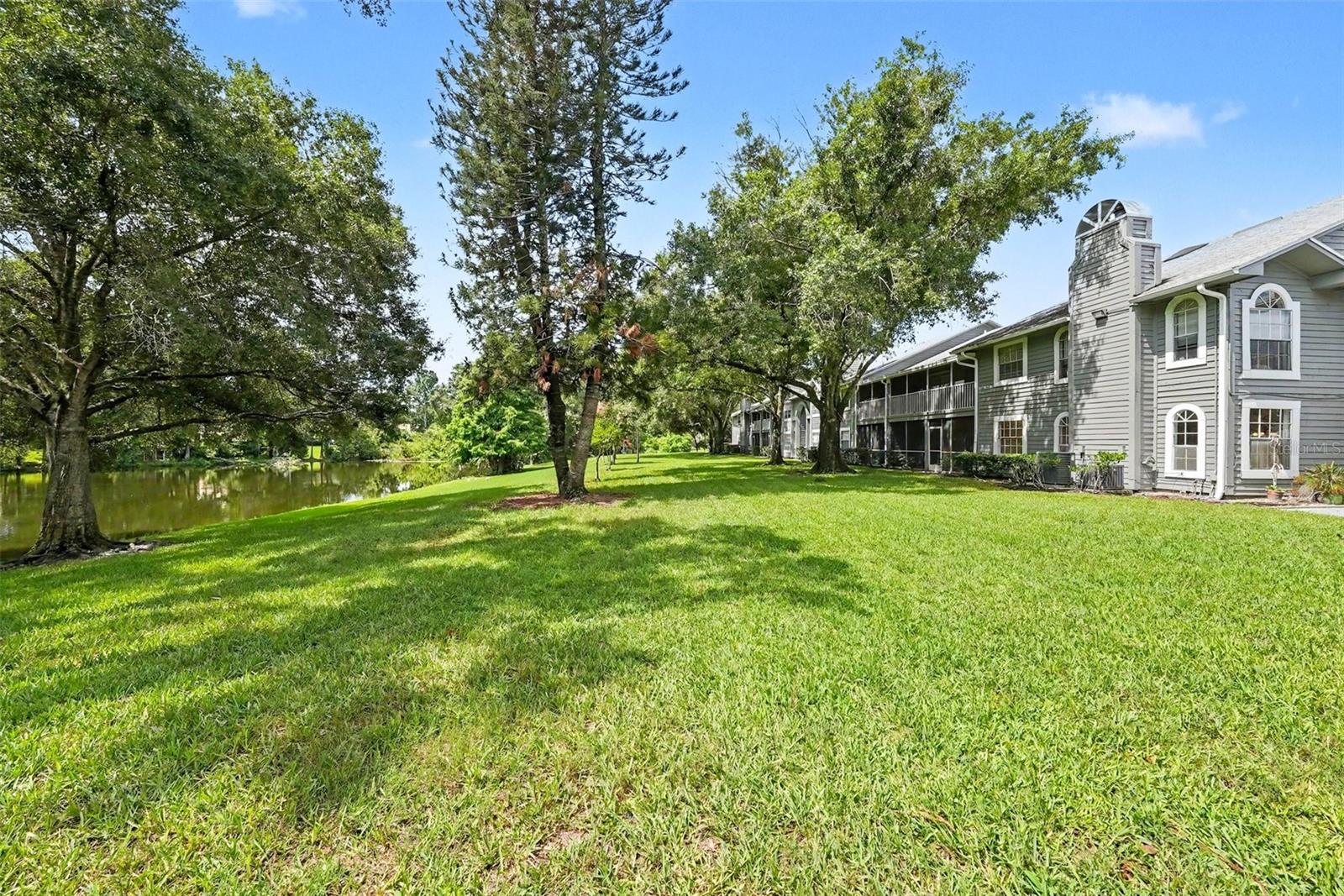 RAINTREE VILLAGE CONDO N - Residential