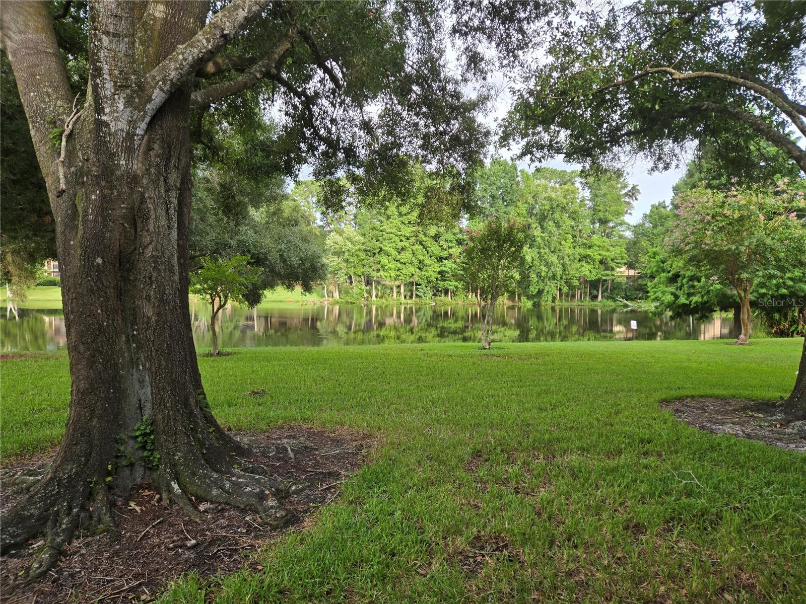 RAINTREE VILLAGE CONDO N - Residential