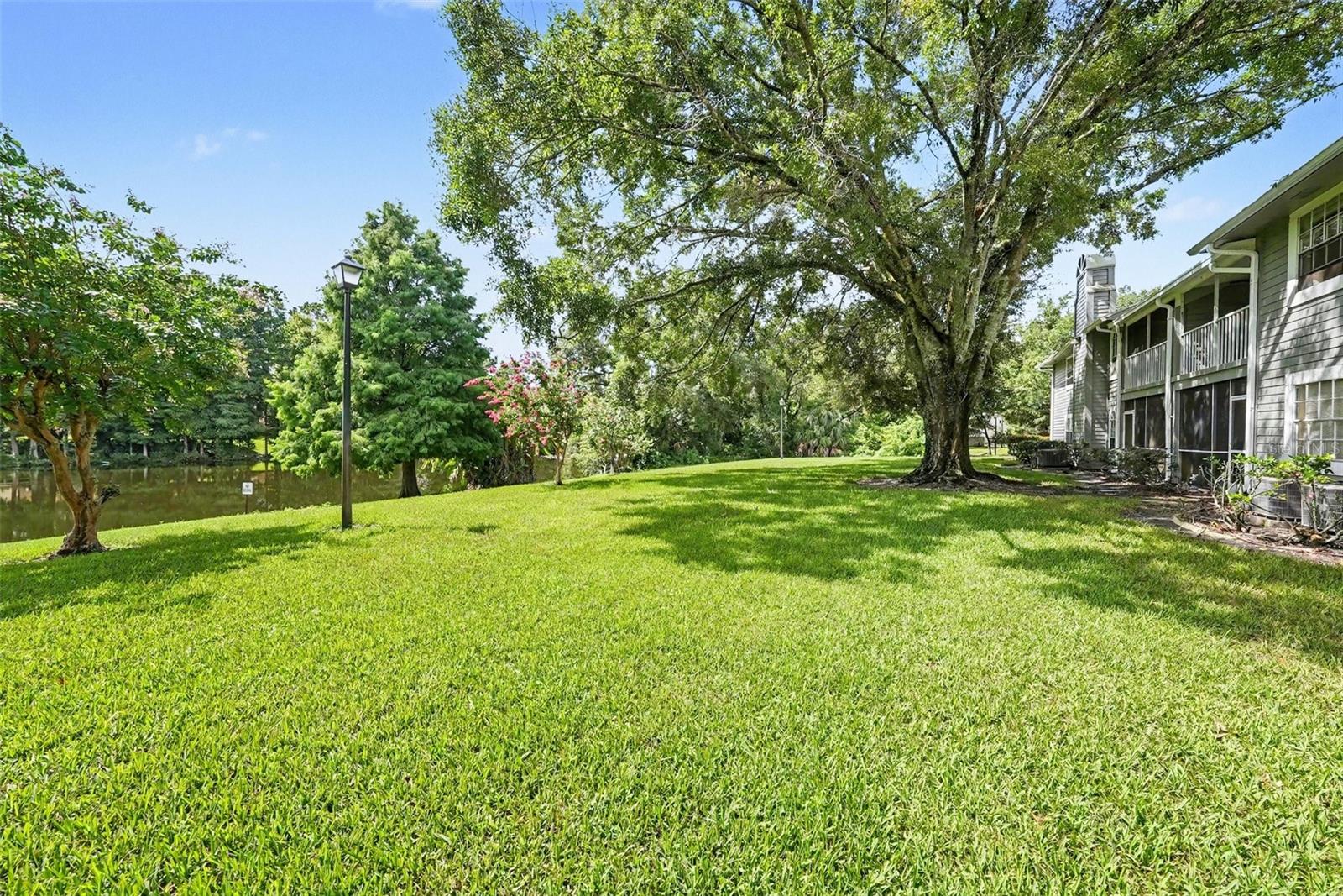 RAINTREE VILLAGE CONDO N - Residential