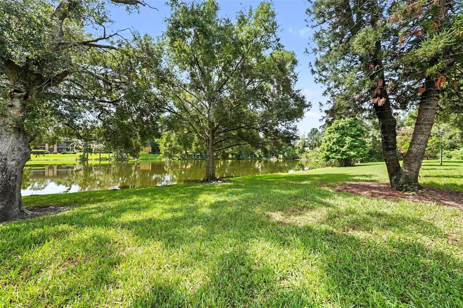 RAINTREE VILLAGE CONDO N - Residential