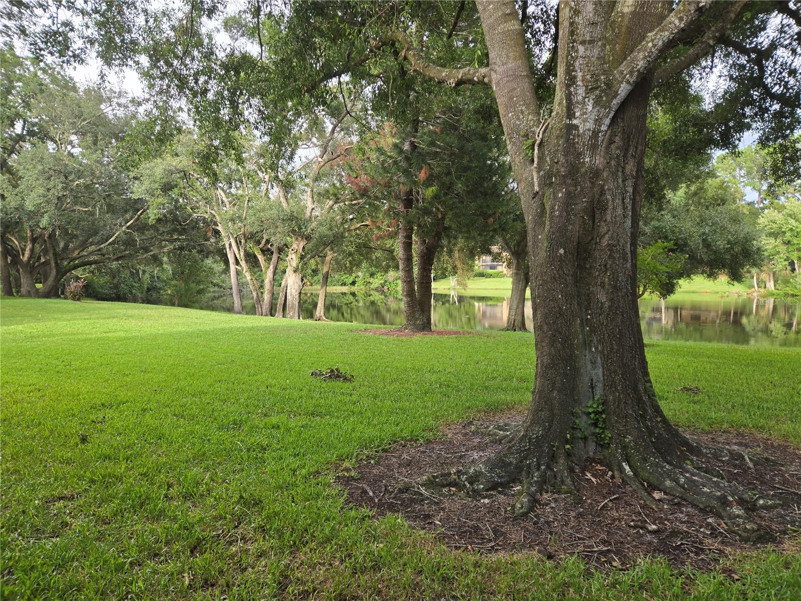 RAINTREE VILLAGE CONDO N - Residential