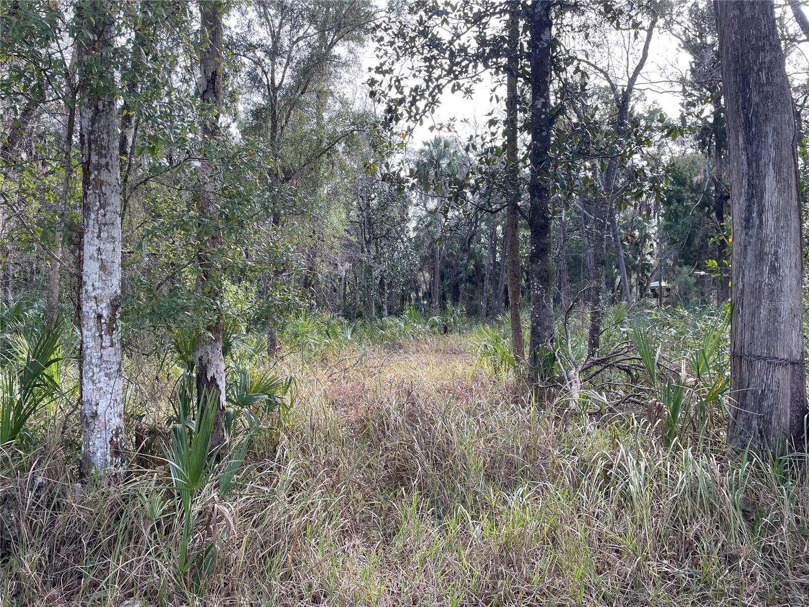 Build your Florida dream in the heart of Old Homosassa! This vacant lot is tucked away in a golf cart-friendly neighborhood, offering a relaxed Old Florida lifestyle while still being close to all the charm the area is known for. Enjoy easy access to popular waterfront restaurants, local marinas, and public boat ramps—perfect for boating, fishing, and river adventures—without being directly on the water. Whether you’re planning a full-time residence, weekend getaway, or investment property, this lot offers a prime location with small-town character and coastal conveniences just minutes away.