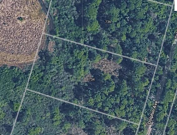 Build your dream home on this sprawling 1.047 acre lot located in the charming, peaceful community of Lake Placid, Florida—famously known as the "Town of Murals". This generous parcel offers ample privacy and space to design a custom homestead, with room for large gardens, workshops, or a private pool, all while being just minutes from downtown. The land is currently wooded, providing a blank canvas for you to clear exactly to your preferences, allowing for mature trees to be kept for shade and natural beauty. Situated in a fast-growing area, this is an excellent opportunity to own a piece of Florida’s heartland in a neighborhood known for a friendly, small-town atmosphere.