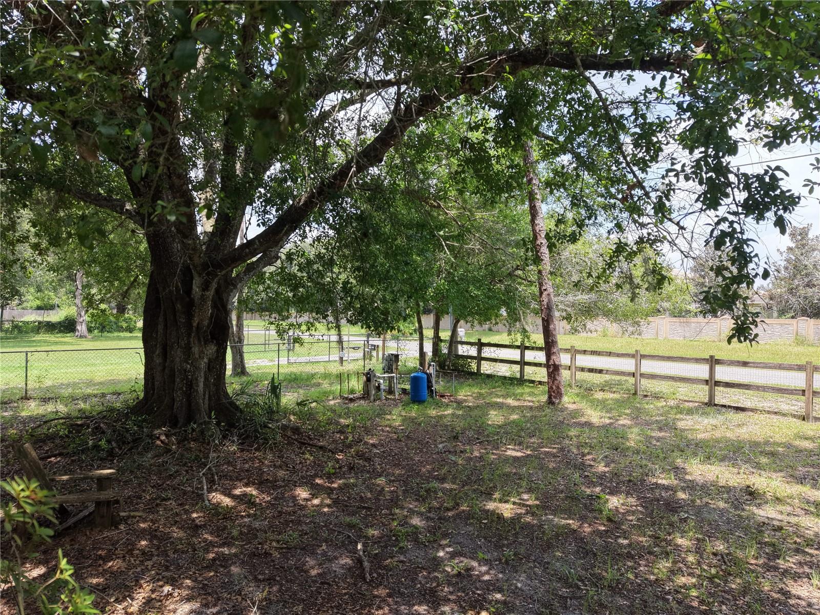EAST ORLANDO ESTATES - Residential