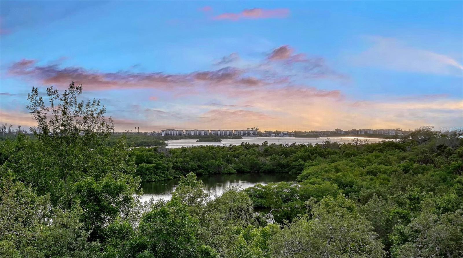 MERIDIAN AT THE OAKS PRESERVE - Residential