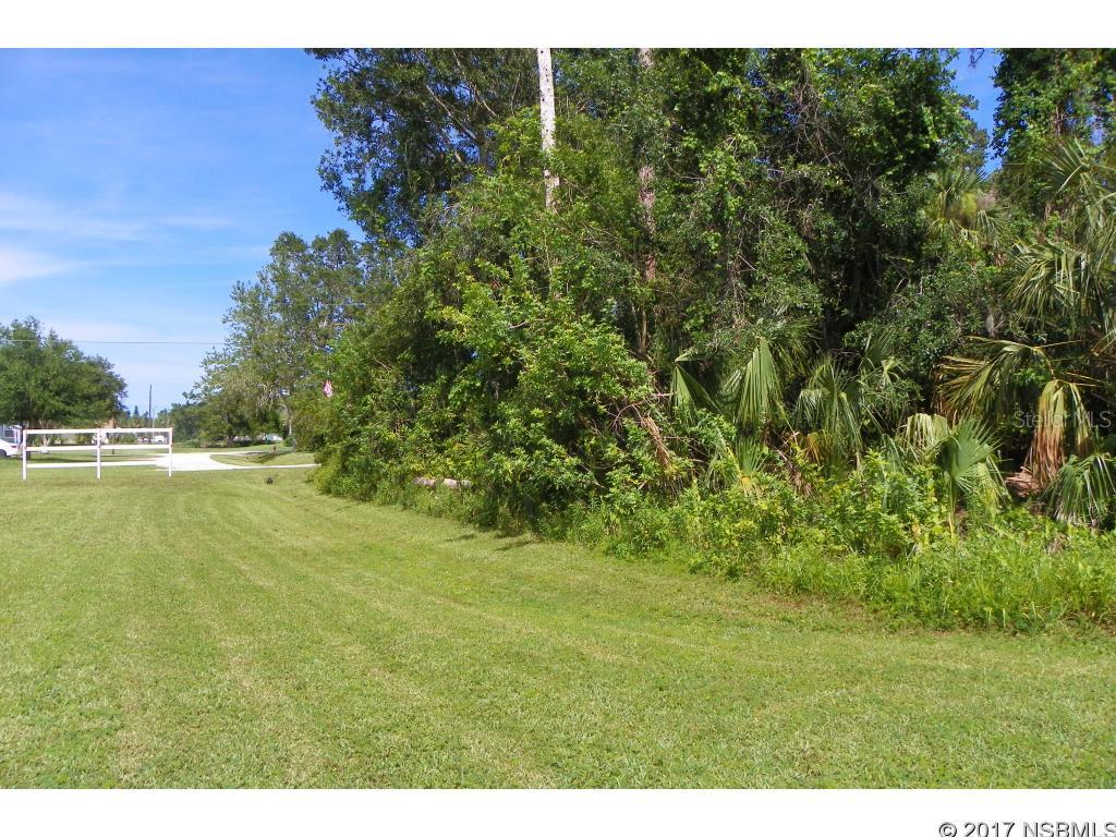 BUILD YOUR DREAM HOME on this beautiful 120â x 125â high and dry lot.   Located just minutes from restaurants, shopping, banks, schools, parks, river, world-class fishing, top rated walking and long bike trails, Edgewater paddling trails, boat ramps, highways, and I-95.; Cleared: No ;Water: Holding Tank