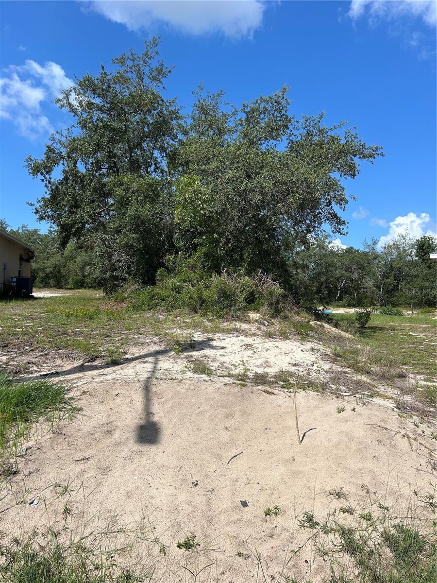 Rare opportunity to own two adjacent lots in Poinciana being sold together as one package! Two adjacent lots being sold together for a combined total of 0.78 acres. Whether you're looking to build your dream home with extra space and privacy or invest in a growing community, these side-by-side lots provide endless possibilities.  Conveniently located near shopping, dining, schools, parks, and major roadways, with easy access to Orlando attractions and Central Florida destinations. Don't miss this chance to secure a larger homesite in an established neighborhood. Buyer to verify all building requirements, utilities, and future land use with the appropriate authorities.