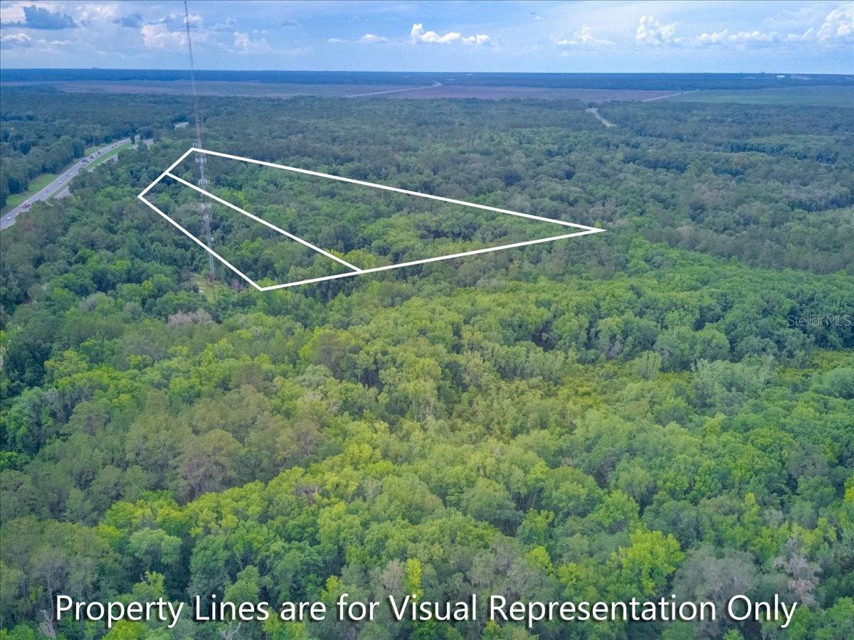 LEITNER TR E LEVY GRANT - Land