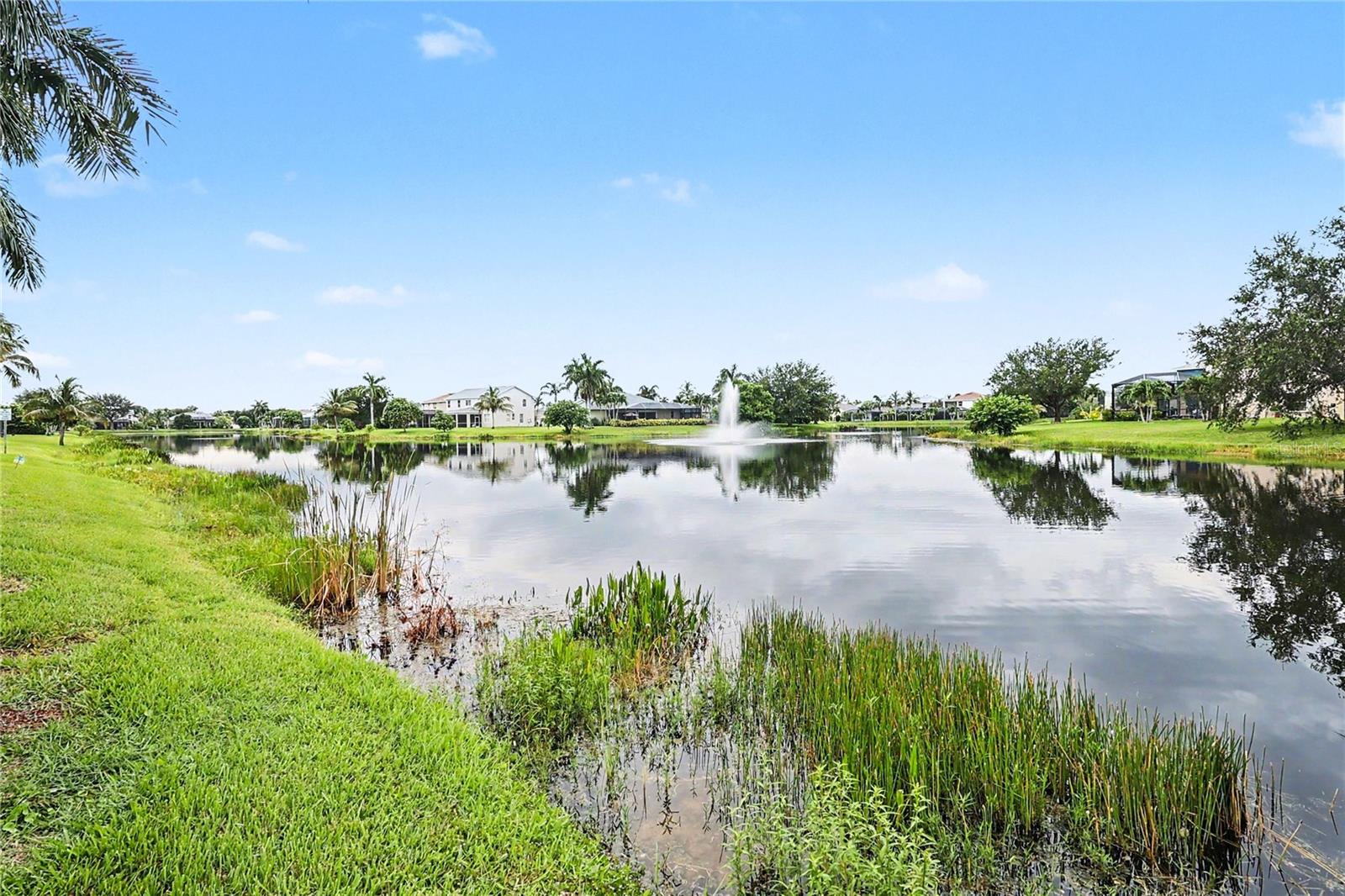 GLADIOLUS PRESERVE - Residential