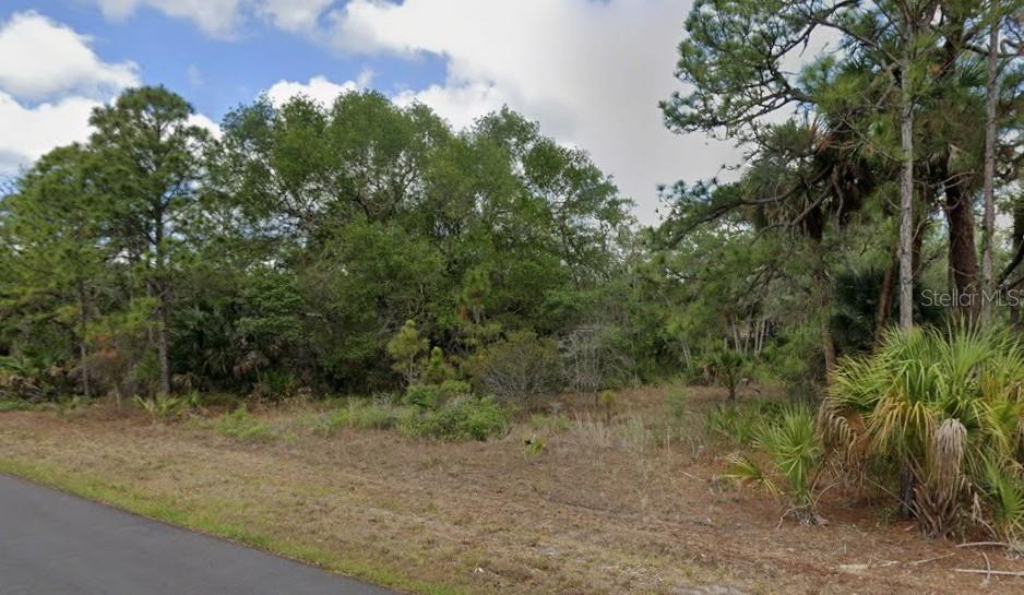 BUILD YOUR FLORIDA DREAM HOME IN A PEACEFUL PORT CHARLOTTE LOCATION! Welcome to 1299 Birch Terrace, Port Charlotte, FL 33953, a residential homesite offering the perfect opportunity to build in one of Southwest Florida's growing communities. Tucked away in a quiet, serene setting, this property provides the ideal balance of privacy while remaining just minutes from shopping, dining, schools, golf courses, medical facilities, and everyday conveniences.

Whether you're ready to build your dream home now or invest for the future, this lot offers the flexibility to create a home tailored to your lifestyle. Design the outdoor space you've always envisioned with room for a pool, spacious lanai, or beautiful Florida landscaping.

Conveniently located near major roadways, you'll enjoy easy access to Port Charlotte, North Port, Punta Gorda, Charlotte Harbor, and the area's many boating, fishing, golfing, and Gulf Coast beaches.

Whether you're searching for the perfect homesite or looking to invest in one of Southwest Florida's continually expanding areas, this property offers outstanding potential in a peaceful location.

DON'T MISS THIS OPPORTUNITY TO SECURE YOUR PIECE OF PARADISE IN PORT CHARLOTTE!