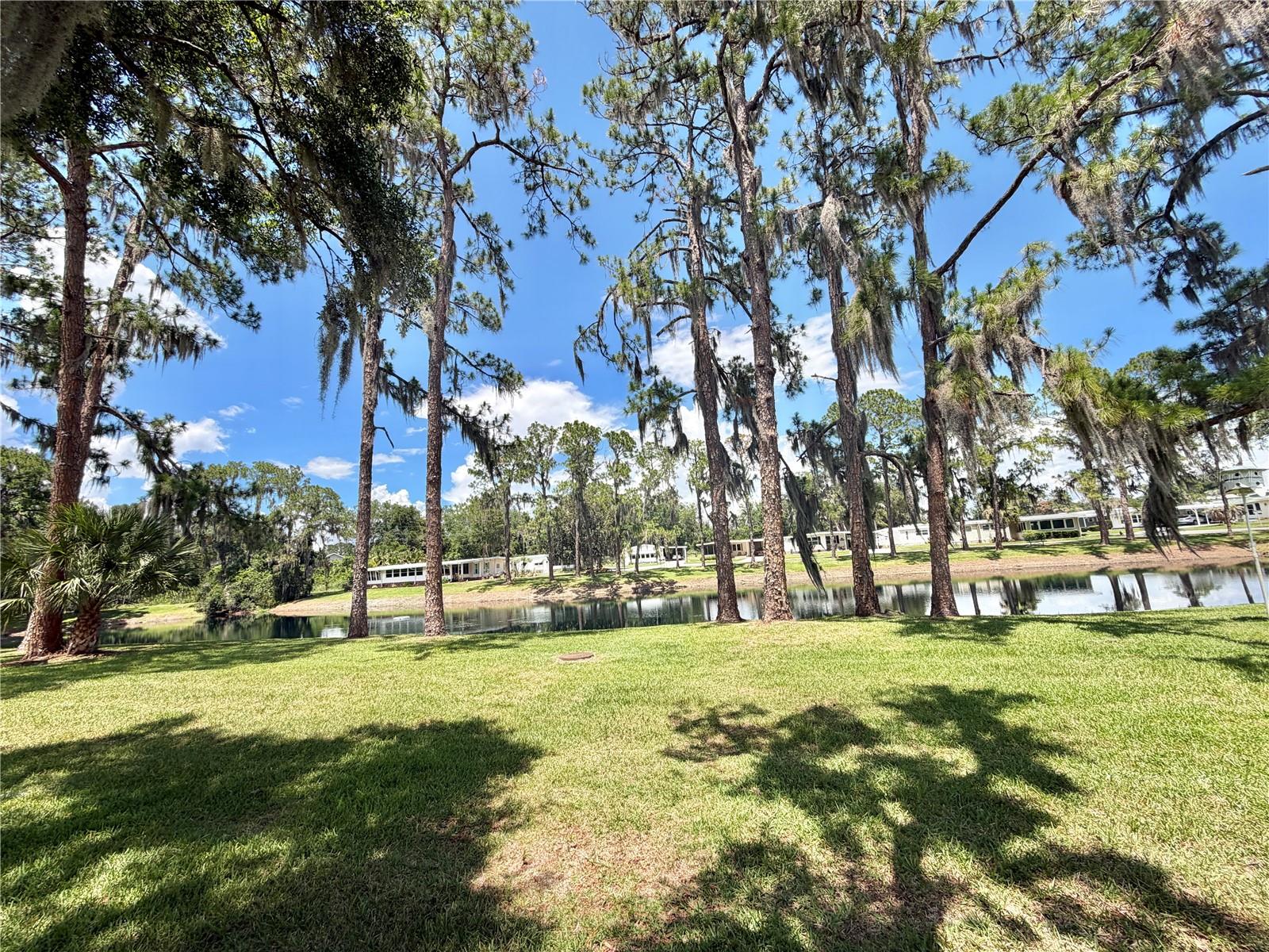 HAWTHORNE AT LEESBURG A COOP - Residential