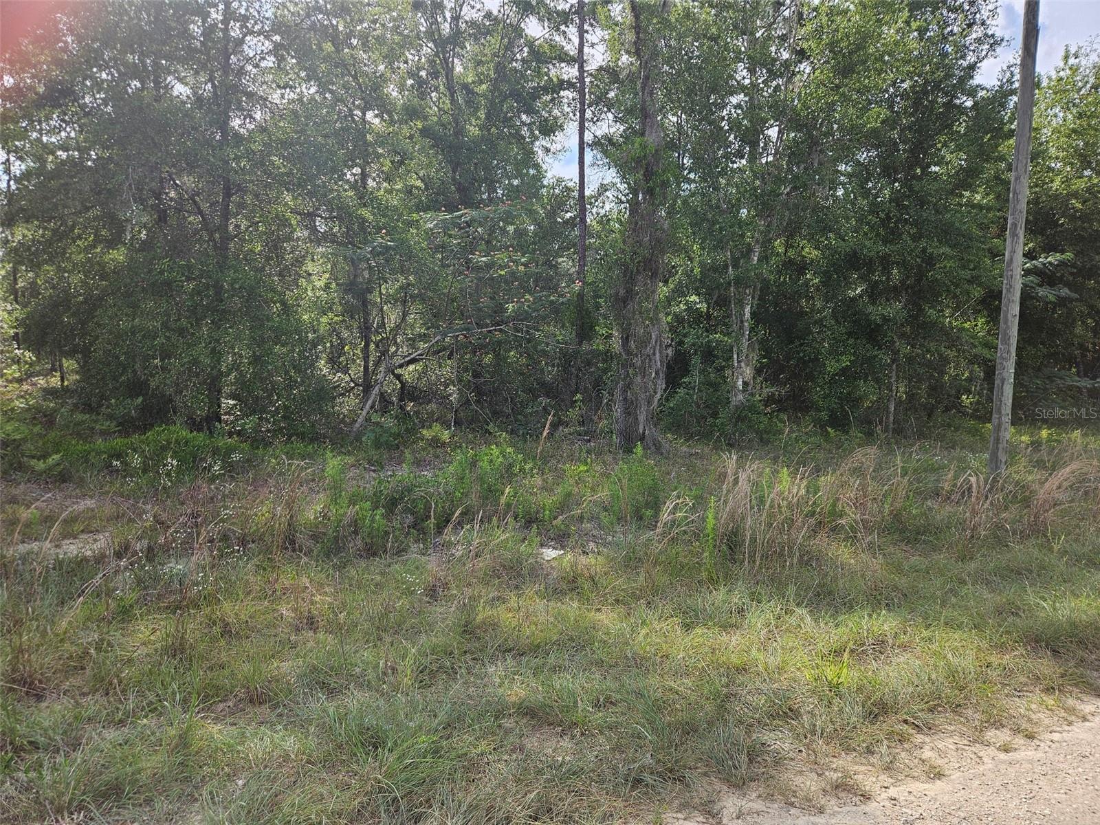 WILLISTON HIGHLANDS GOLF & C CLUB ESTATES - Land
