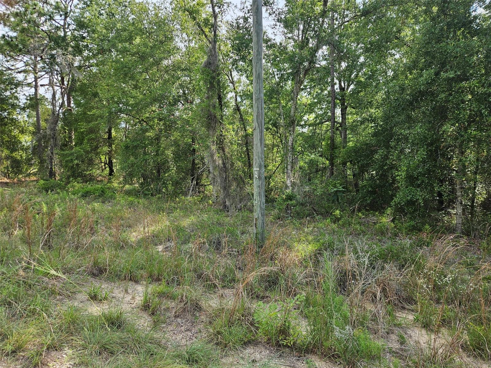 WILLISTON HIGHLANDS GOLF & C CLUB ESTATES - Land