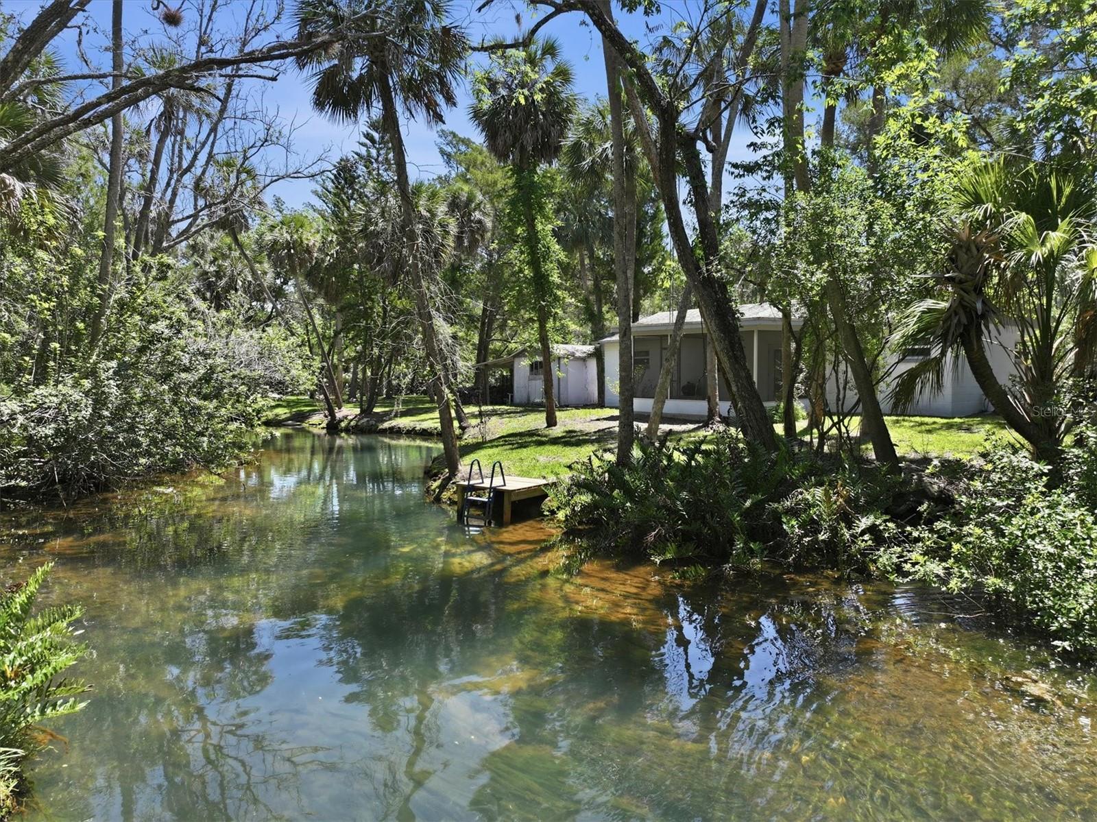 PALM GROVE COLONY - Residential