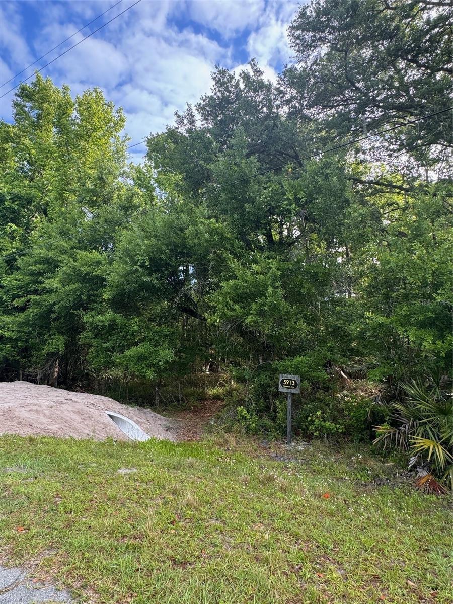 CAPE ORLANDO ESTATES - Land