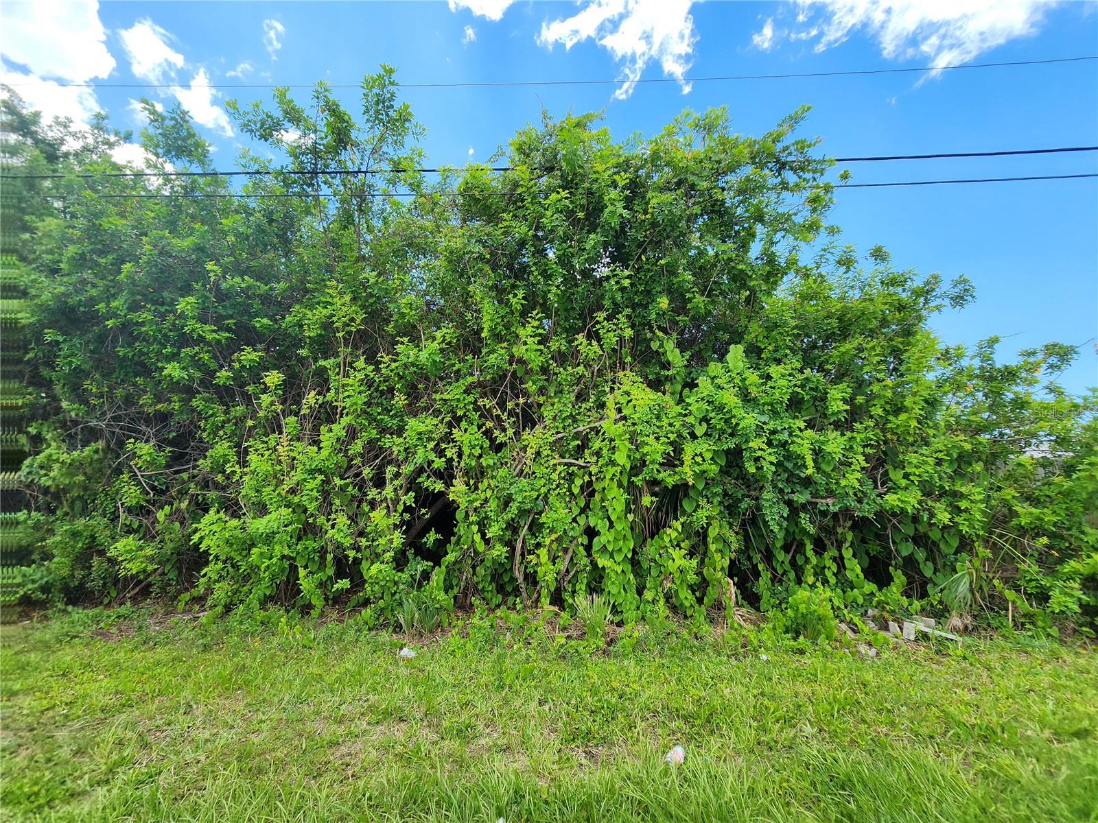 PORT CHARLOTTE SEC 063 - Land