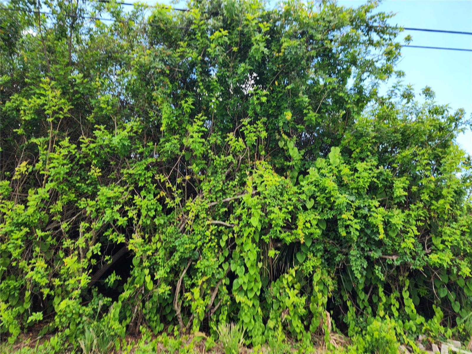 PORT CHARLOTTE SEC 063 - Land