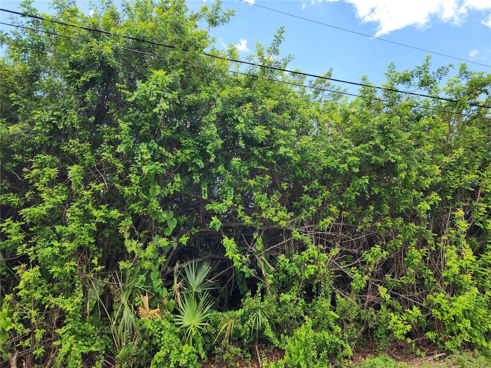 PORT CHARLOTTE SEC 063 - Land
