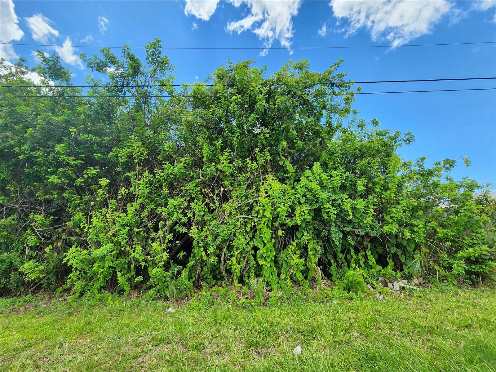 PORT CHARLOTTE SEC 063 - Land