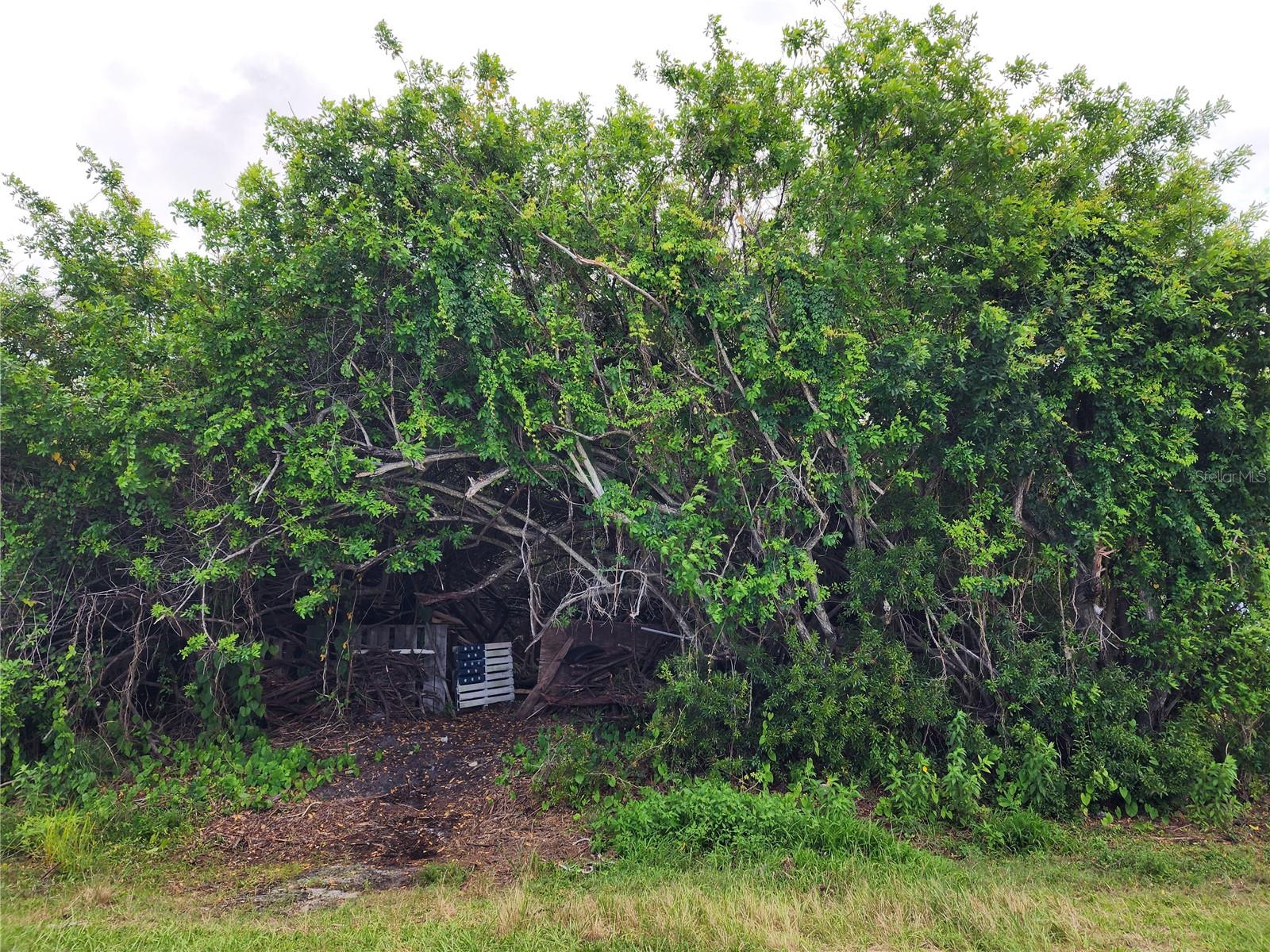 PORT CHARLOTTE SEC 063 - Land