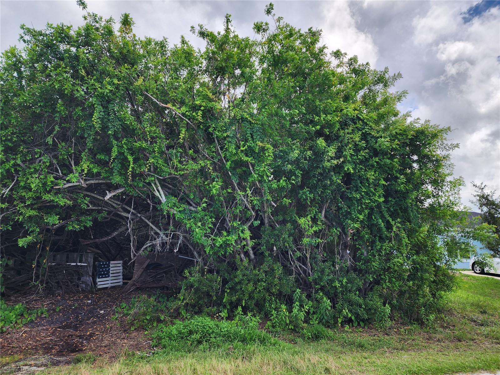 PORT CHARLOTTE SEC 063 - Land